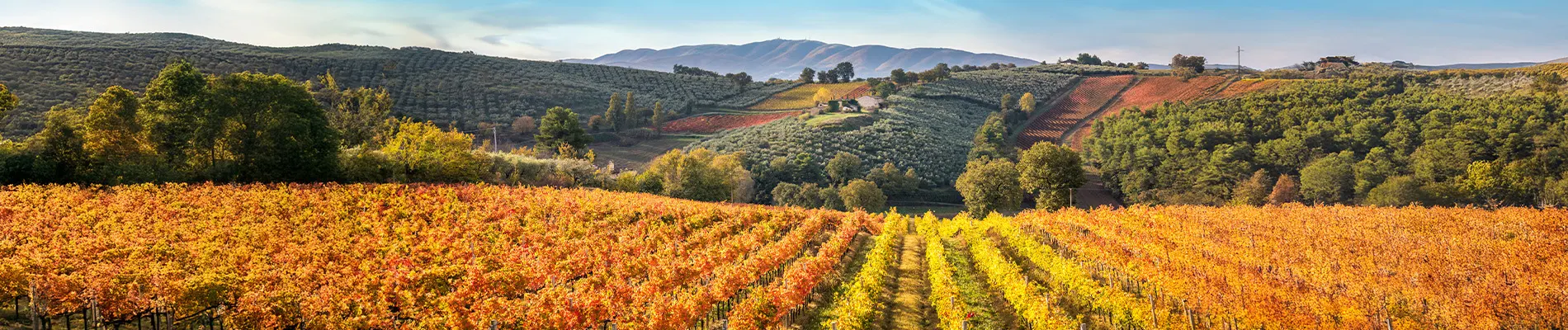 Montefalco-Bevagna Link